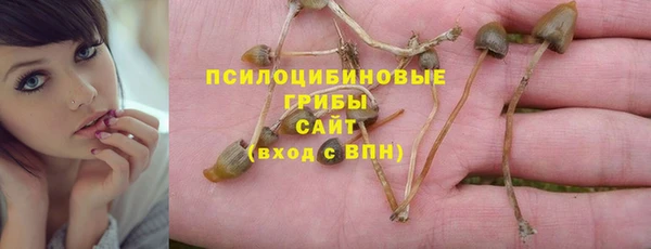 трава Абаза
