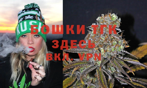 трава Абаза
