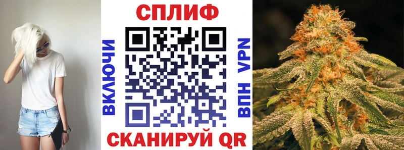 Бошки Шишки план  Томилино 